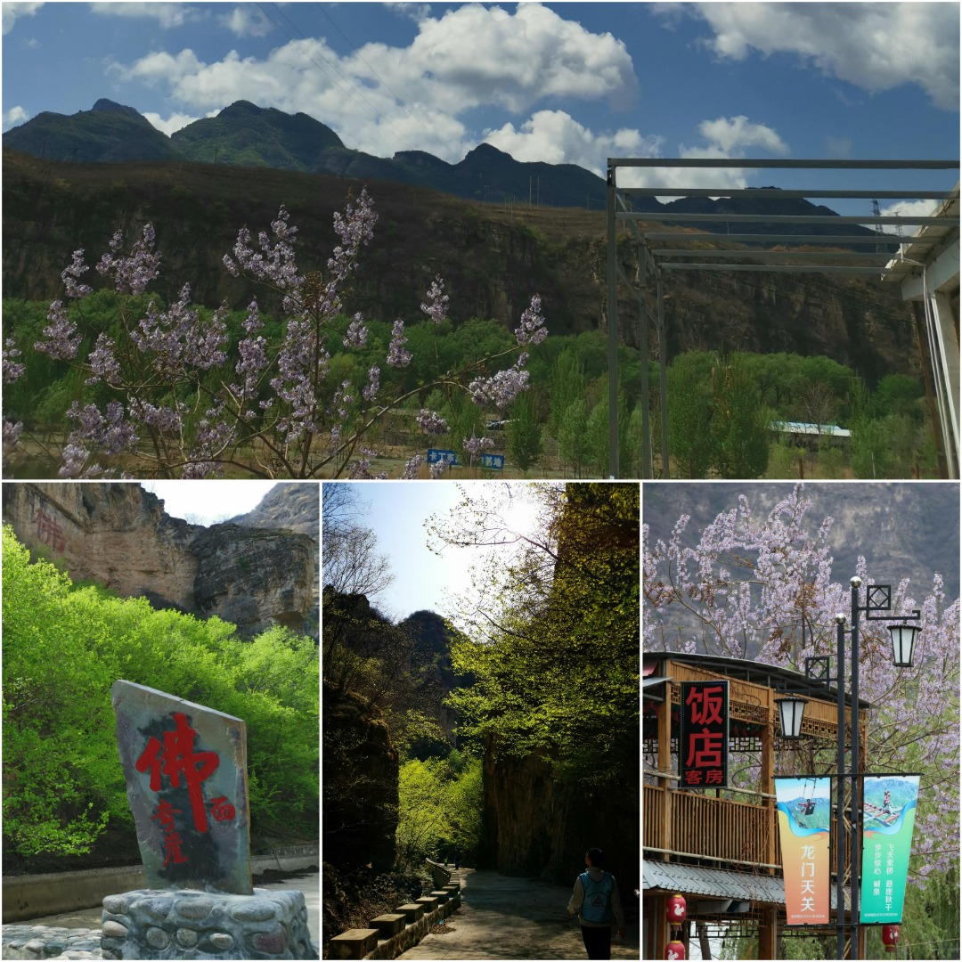 1651310138102956.png 1.png